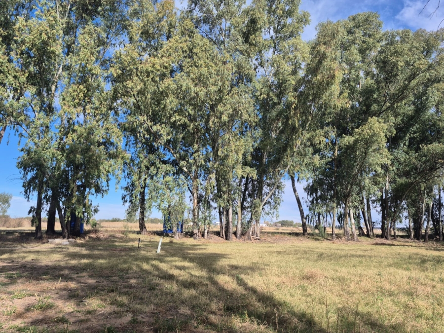 0 Bedroom Property for Sale in Die Erwe Northern Cape